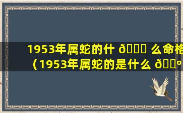 1953年属蛇的什 🐟 么命格（1953年属蛇的是什么 🐺 命及寿终）